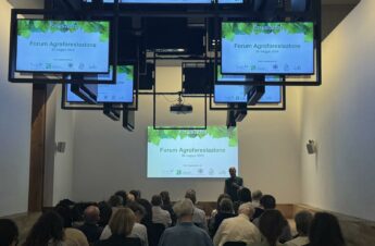 Forum-Agroforestazione
