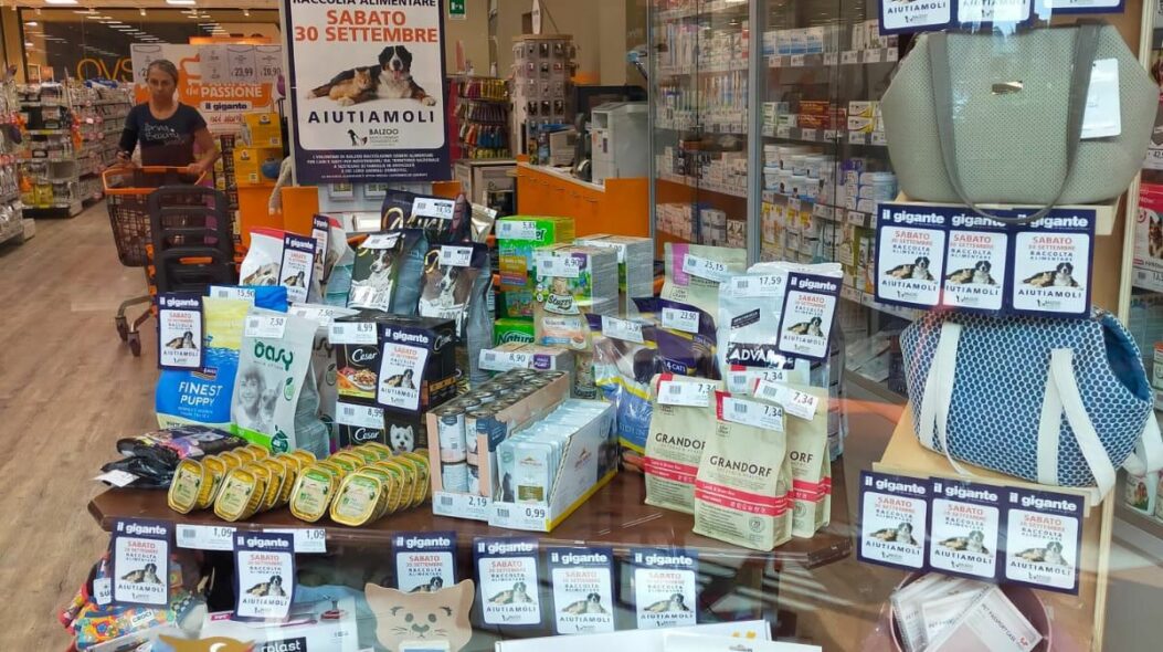 Il Gigante e Balzoo organizzano una giornata di solidarietà per gli animali in difficoltà