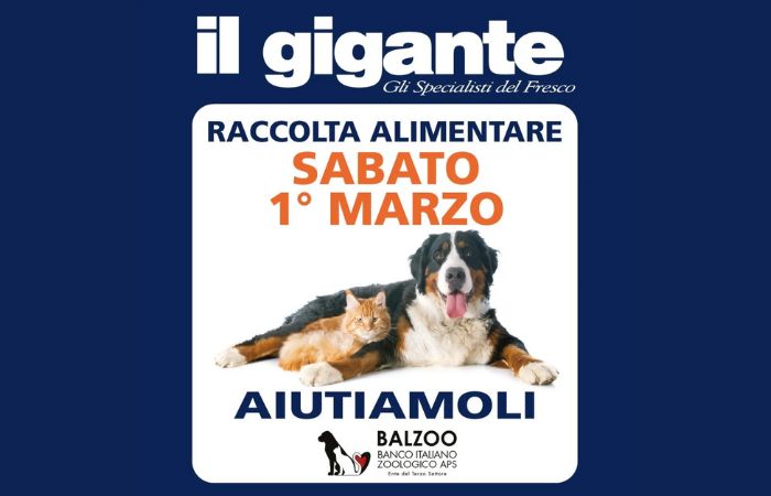 Un aiuto per gli animali domestici: torna la raccolta solidale di ‘Il Gigante’ e ‘Balzoo’