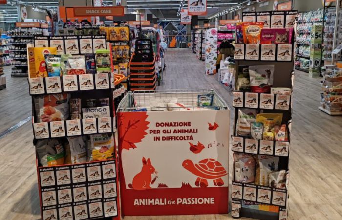Lombardia, solidarietà per gli animali in difficoltà: raccolta alimentare nei supermercati Il Gigante