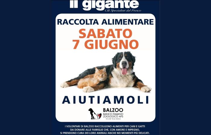 Lombardia, solidarietà per gli animali in difficoltà: raccolta alimentare nei supermercati Il Gigante