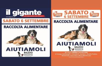 Il Gigante, il 6 settembre torna la raccolta alimentare per cani e gatti in difficoltà