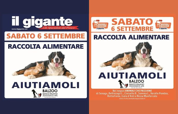 Il Gigante, il 6 settembre torna la raccolta alimentare per cani e gatti in difficoltà