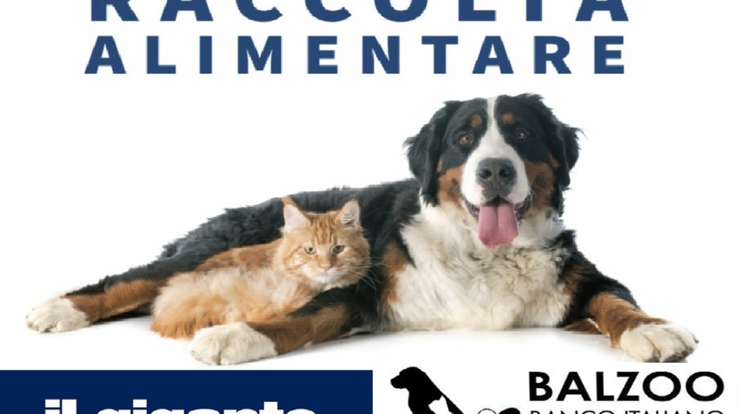 Raccolta alimentare per gli animali: nel weekend l’iniziativa di Balzoo e Il Gigante