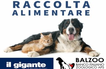 Raccolta alimentare per gli animali: nel weekend l’iniziativa di Balzoo e Il Gigante