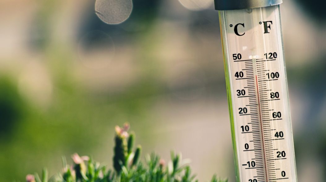 Caldo record, Il Gigante registra vendite di ventilatori in crescita del 30%