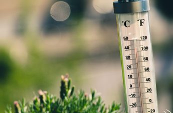 Caldo record, Il Gigante registra vendite di ventilatori in crescita del 30%